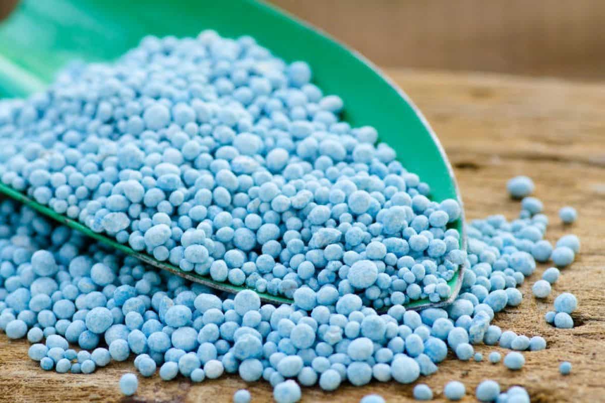 FERTILIZER